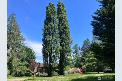 4293 E Pickering Road, Shelton, WA 98584 - Photo 8