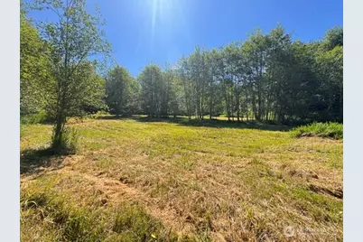 0 Xxx Pleasant Valley Rd, Morton, WA 98356 - Photo 12