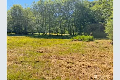 0 Xxx Pleasant Valley Rd, Morton, WA 98356 - Photo 8