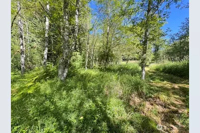0 Xxx Pleasant Valley Rd, Morton, WA 98356 - Photo 6