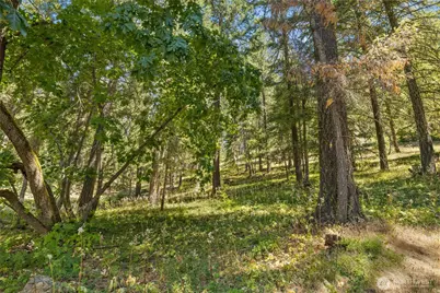 0 Xxx Lava Lane, Ronald, WA 98940 - Photo 2