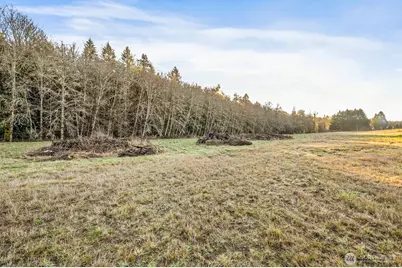 0 Collins Road, Toledo, WA 98591 - Photo 14