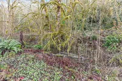 0 Collins Road, Toledo, WA 98591 - Photo 18