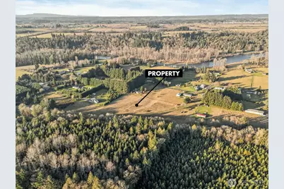 0 Collins Road, Toledo, WA 98591 - Photo 4