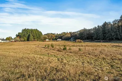 0 Collins Road, Toledo, WA 98591 - Photo 16