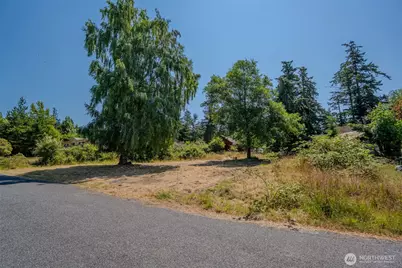 118 Alder Street, Orcas Island, WA 98245 - Photo 20