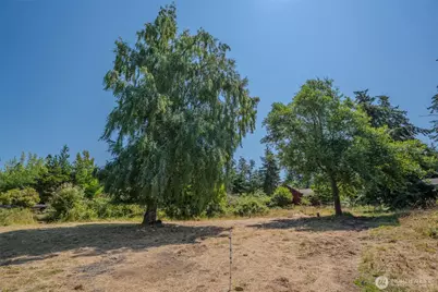 118 Alder Street, Orcas Island, WA 98245 - Photo 4