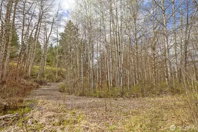 0 Westside Rd Pcl -10579 & 10580, Cle Elum, WA 98922 - Photo 24