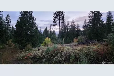 2518 A Bodie Mountain Road, Colville, WA 99114 - Photo 32