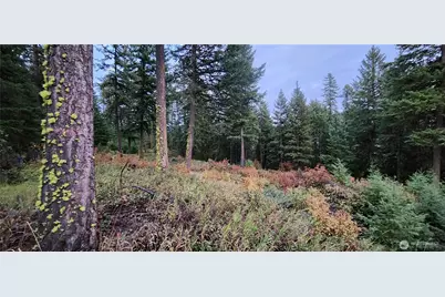 2518 A Bodie Mountain Road, Colville, WA 99114 - Photo 26
