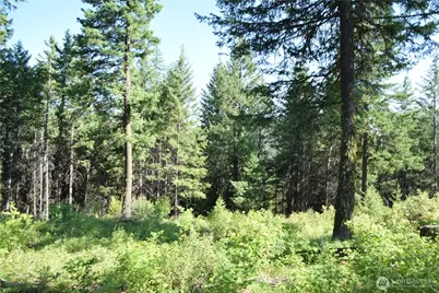 2518 A Bodie Mountain Road, Colville, WA 99114 - Photo 38