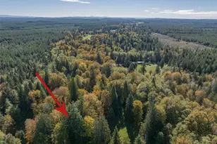 490 Maple Rock Rd, Matlock, WA 98560 - Photo 16