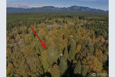 490 Maple Rock Road, Matlock, WA 98560 - Photo 18