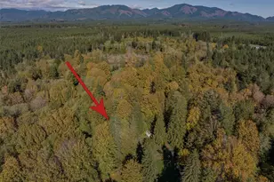490 Maple Rock Rd, Matlock, WA 98560 - Photo 18