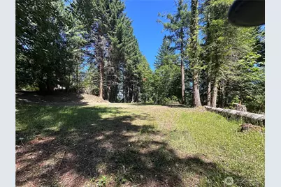 0 Twanoh Place, Belfair, WA 98528 - Photo 4