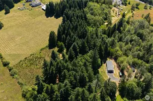 126 Burchett Rd, Onalaska, WA 98570 - Photo 36