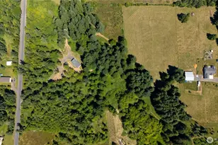 126 Burchett Rd, Onalaska, WA 98570 - Photo 34