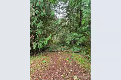 13806 Lone Maple Lane NW, Poulsbo, WA 98370 - Photo 6