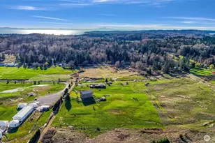 8225 Peace Pk Dr, Custer, WA 98240 - Photo 40