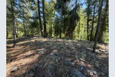 0 E Buttermilk Creek Road, Twisp, WA 98856 - Photo 1