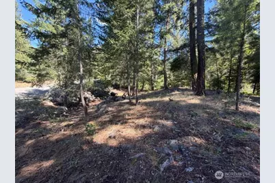 0 E Buttermilk Creek Road, Twisp, WA 98856 - Photo 16