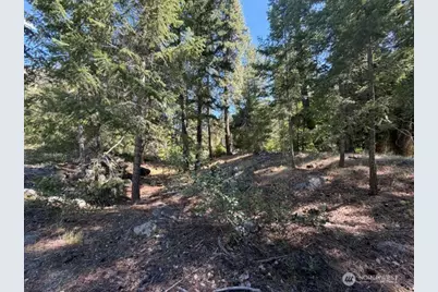 0 E Buttermilk Creek Road, Twisp, WA 98856 - Photo 18