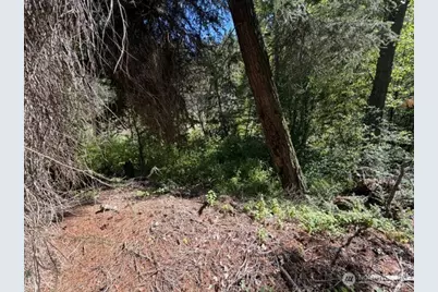 0 E Buttermilk Creek Road, Twisp, WA 98856 - Photo 12