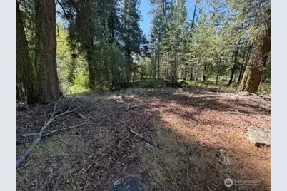 0 E Buttermilk Creek Road, Twisp, WA 98856 - Photo 2