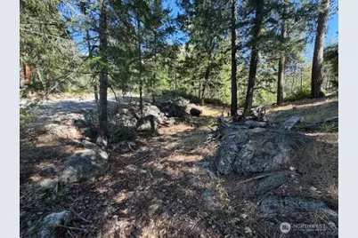 0 E Buttermilk Creek Road, Twisp, WA 98856 - Photo 10