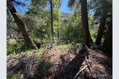 0 E Buttermilk Creek Road, Twisp, WA 98856 - Photo 14