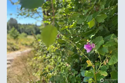 0 Xxx Hippie Hill Road, Belfair, WA 98528 - Photo 6
