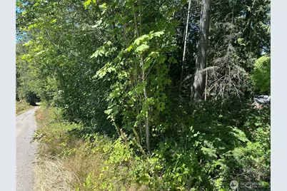 0 Xxx Hippie Hill Road, Belfair, WA 98528 - Photo 2