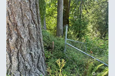 0 Xxx Hippie Hill Road, Belfair, WA 98528 - Photo 4