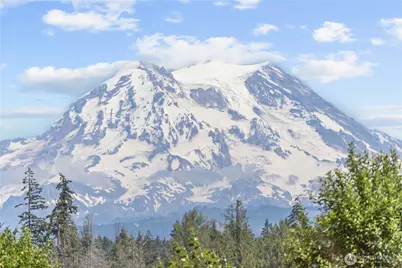 2514 State Route 702 E, Roy, WA 98580 - Photo 34