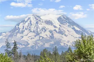 2514 State Route 702 E, Roy, WA 98580 - Photo 34