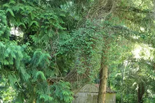 1924 Elger Bay Rd, Camano Island, WA 98282 - Photo 32