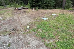 730 Tall Pines Dr, Cle Elum, WA 98992 - Photo 6