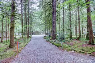 57 Riverside Dr, Deming, WA 98244 - Photo 2
