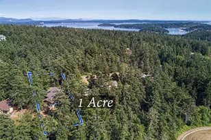 918 Terrace Dr, Friday Harbor, WA 98250 - Photo 12