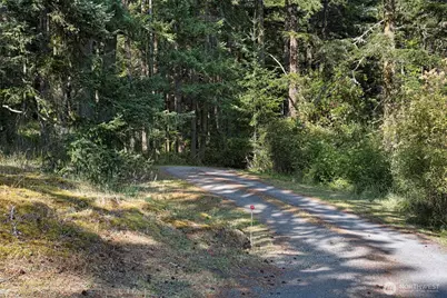 918 Terrace Drive, Friday Harbor, WA 98250 - Photo 10