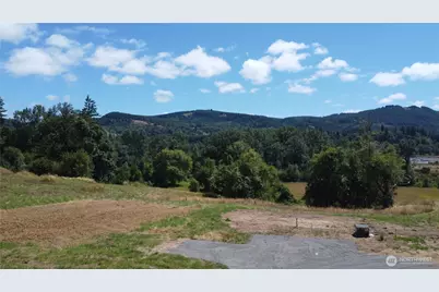3808 Westside Highway, Castle Rock, WA 98611 - Photo 1