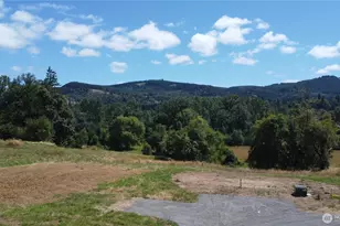 3808 Westside Hwy, Castle Rock, WA 98611 - Photo 1