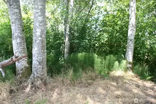 0 Farrell St, Aberdeen, WA 98520 - Photo 1