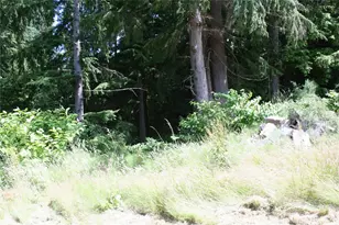 0 Forsyth & Rainier, Aberdeen, WA 98520 - Photo 1