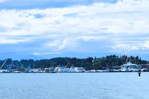 1647 Beach Dr E, Port Orchard, WA 98366 - Photo 10