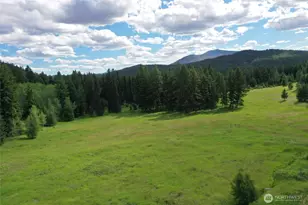 567 Pontiac Ridge Rd, Oroville, WA 98844 - Photo 6