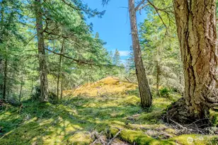 678 Swan Rd, Orcas Island, WA 98245 - Photo 1