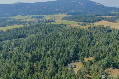 734 Swan Road, Orcas Island, WA 98245 - Photo 38