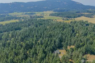734 Swan Rd, Orcas Island, WA 98245 - Photo 38