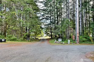 220 SE Sells Dr, Shelton, WA 98584 - Photo 40